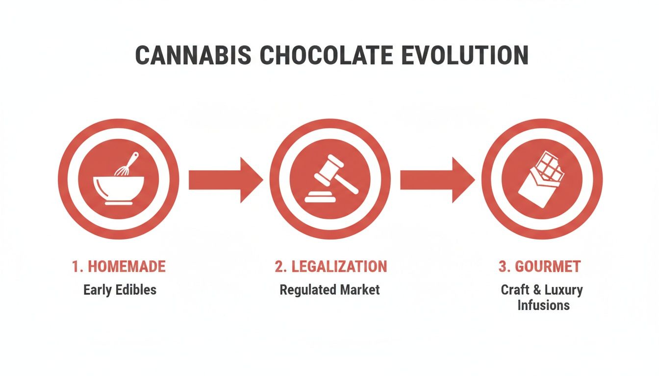Diagram showing the evolution of cannabis chocolate from homemade to legalized regulated market and gourmet craft infusions.