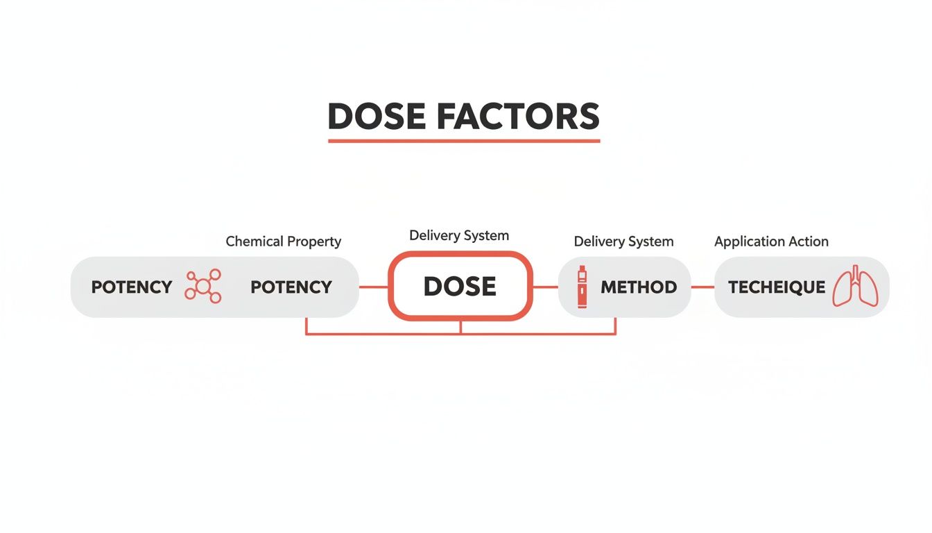 A diagram outlining dose factors: chemical property (potency), delivery system (method), and application action (technique).