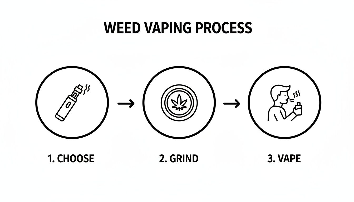 A three-step infographic outlining the weed vaping process: choose vape, grind cannabis, and vape.