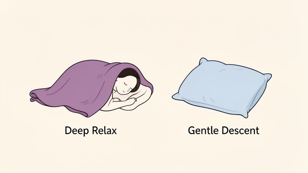 An illustration showing a sleeping person under a purple blanket for 'Deep Relax' and a blue pillow for 'Gentle Descent'.