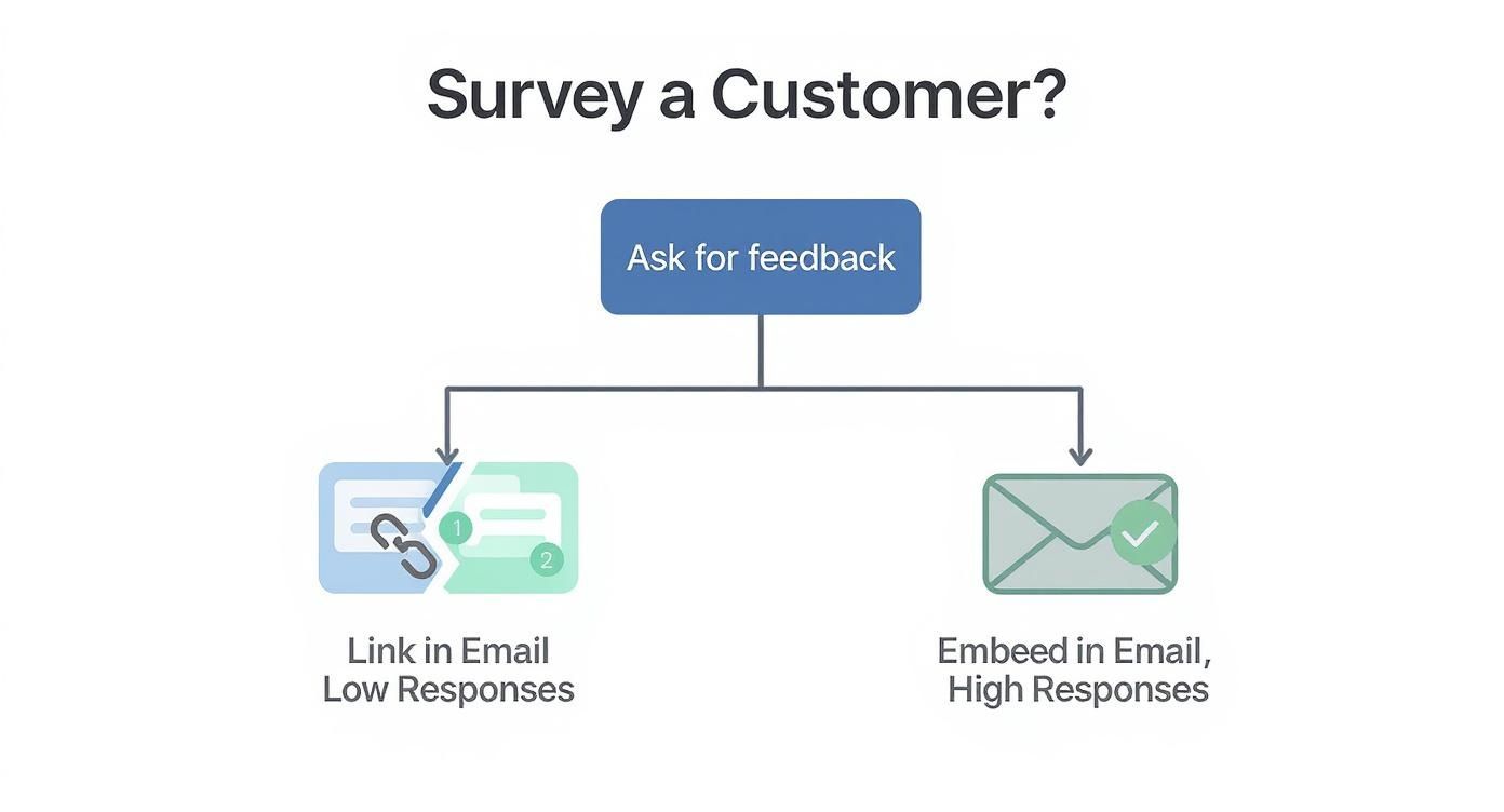 Infographic about embedded survey in email