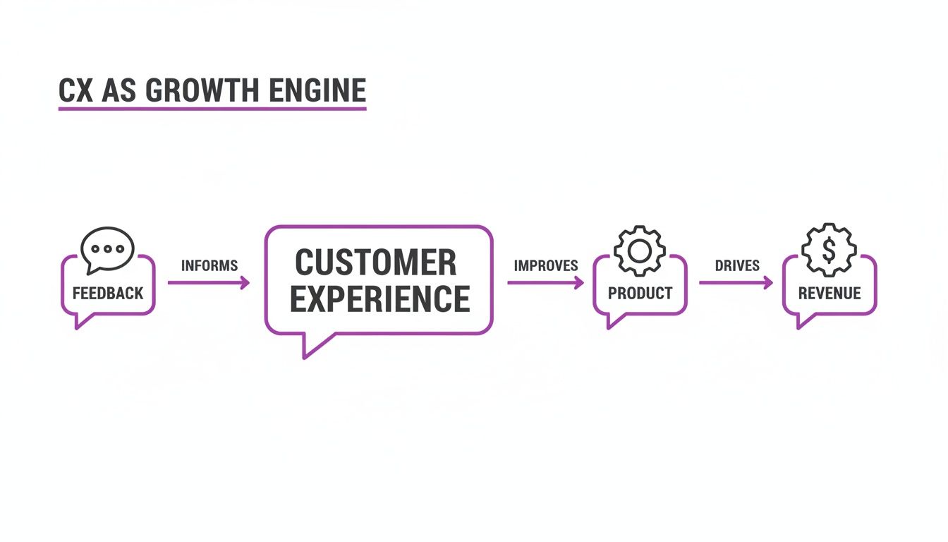 A flowchart illustrates customer feedback informing customer experience, which improves product, driving revenue growth.