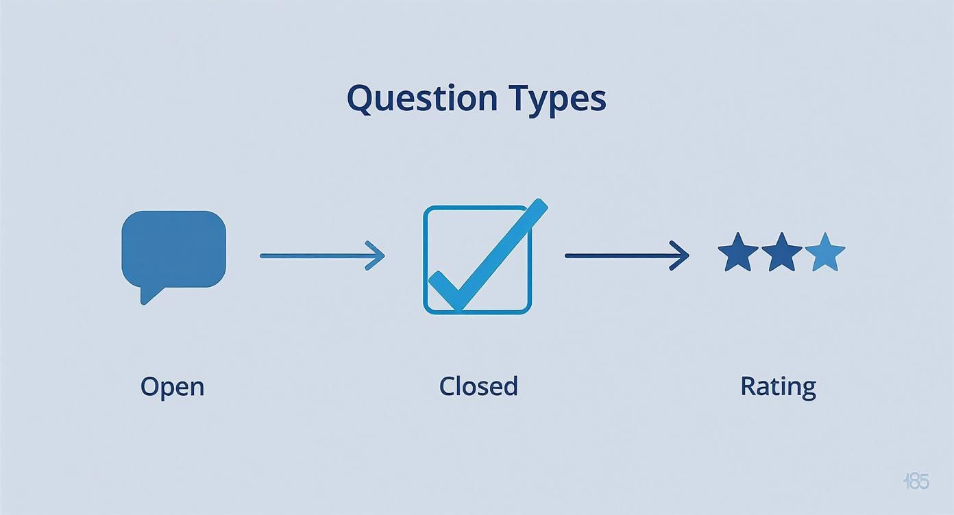 Infographic about how to collect customer feedback
