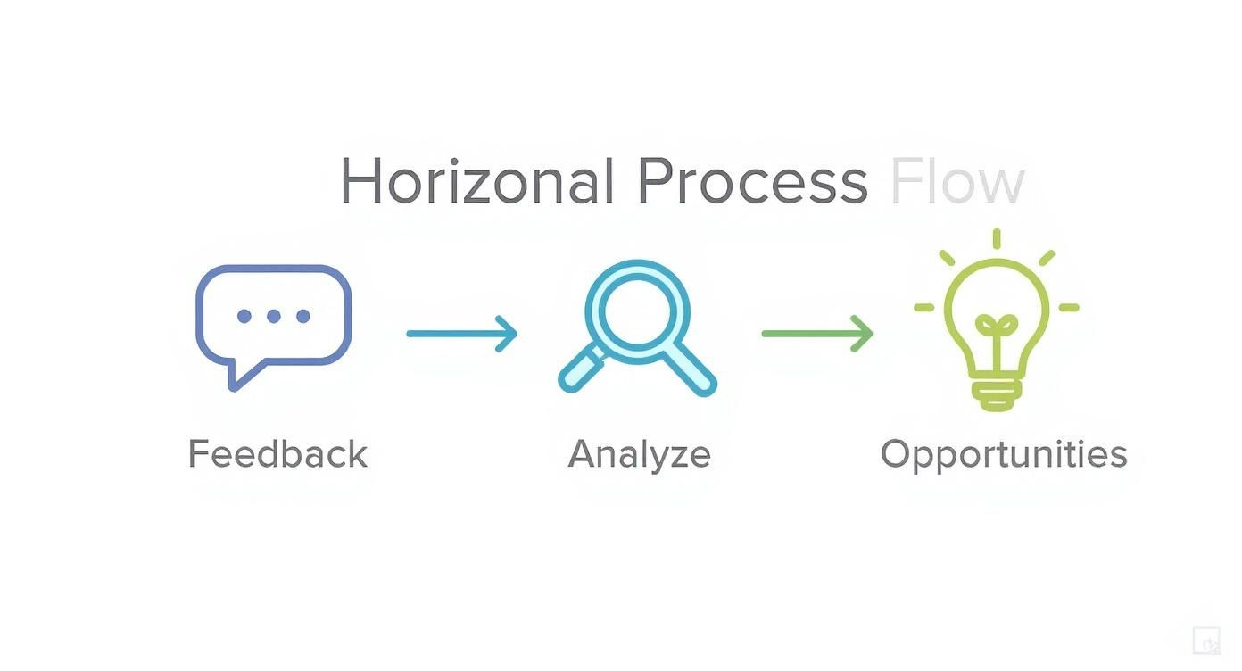 Infographic about voice of the customer survey