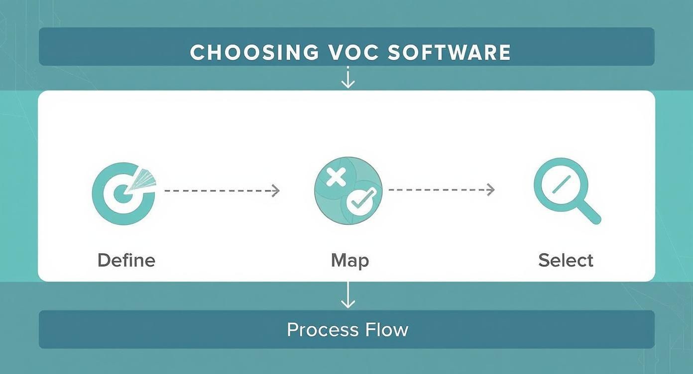 Infographic about voice of the customer software