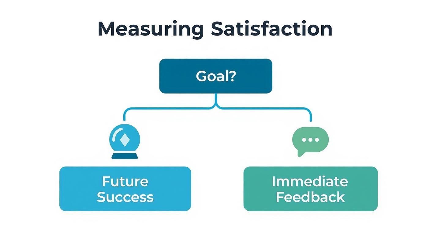 Infographic about measure user satisfaction
