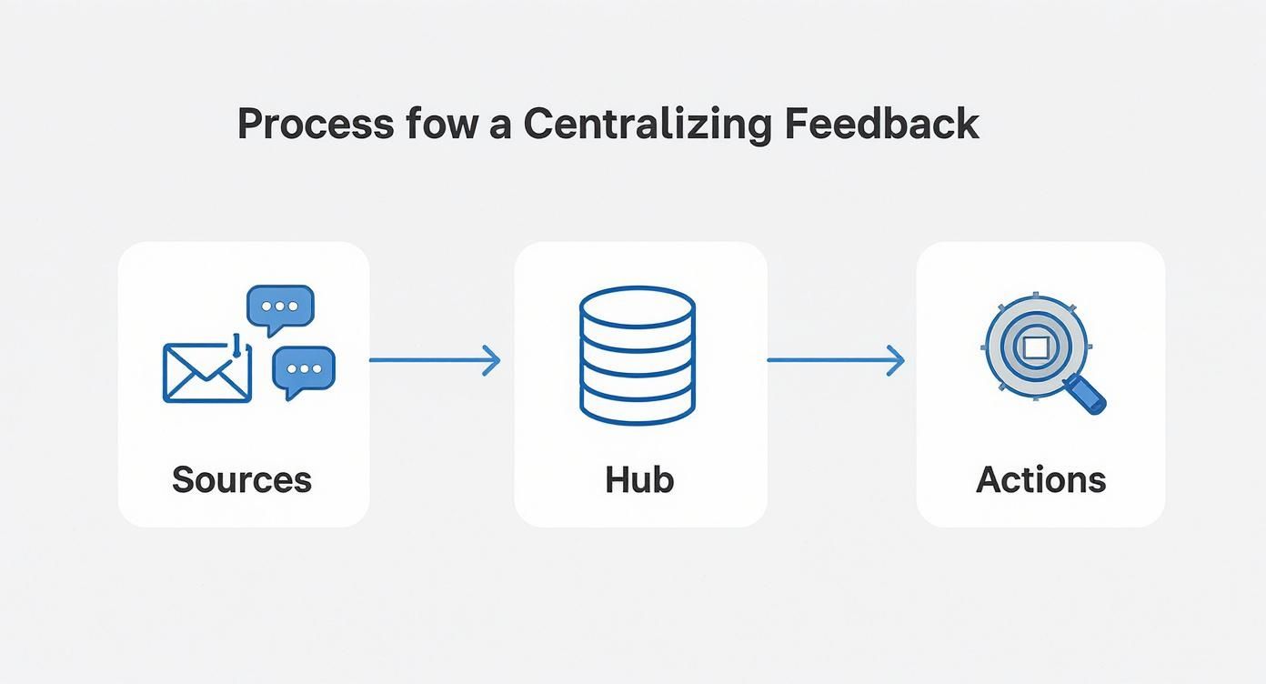 Infographic about closing the feedback loop