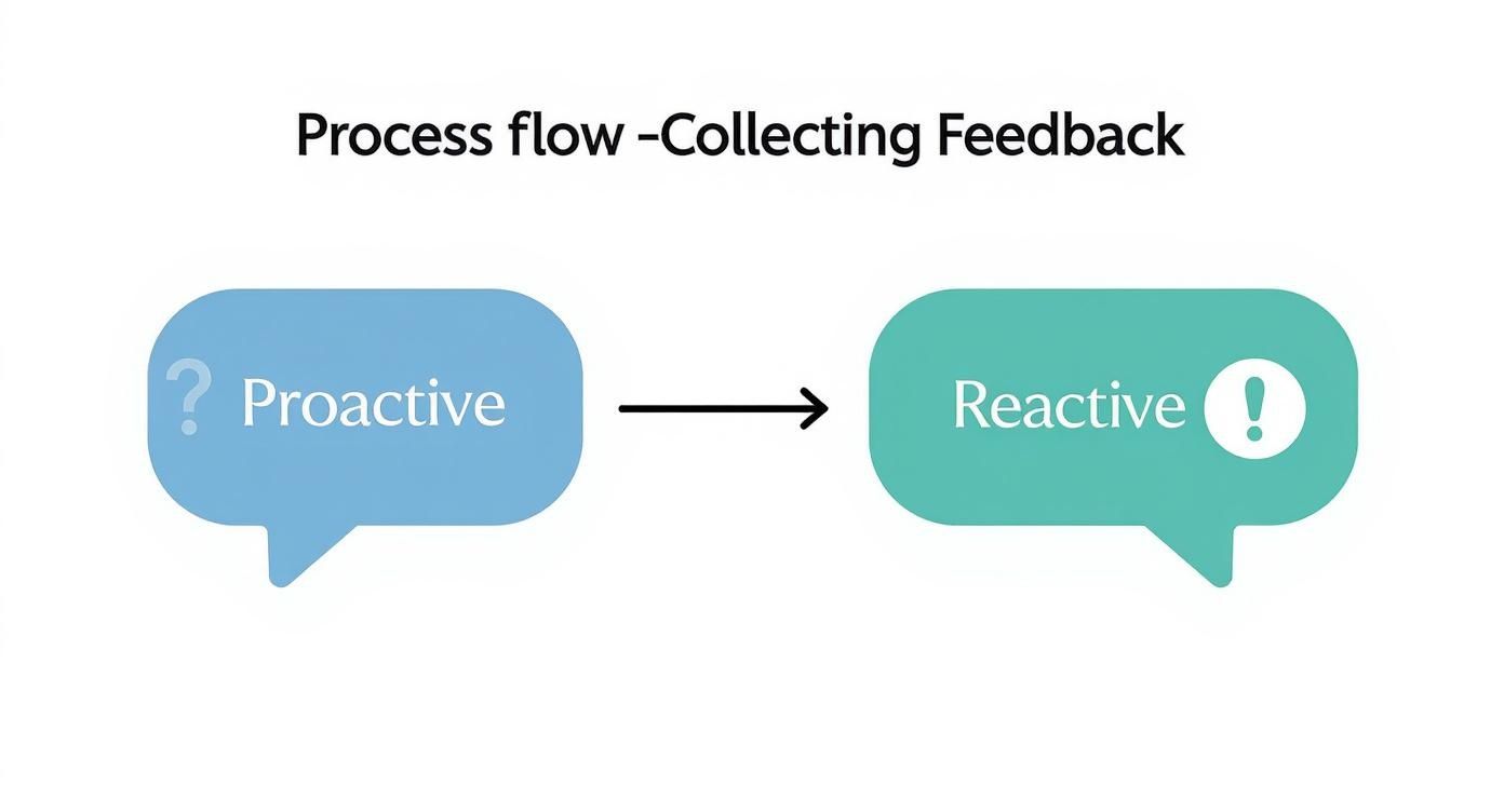 Infographic showing the process flow of collecting proactive and reactive user feedback