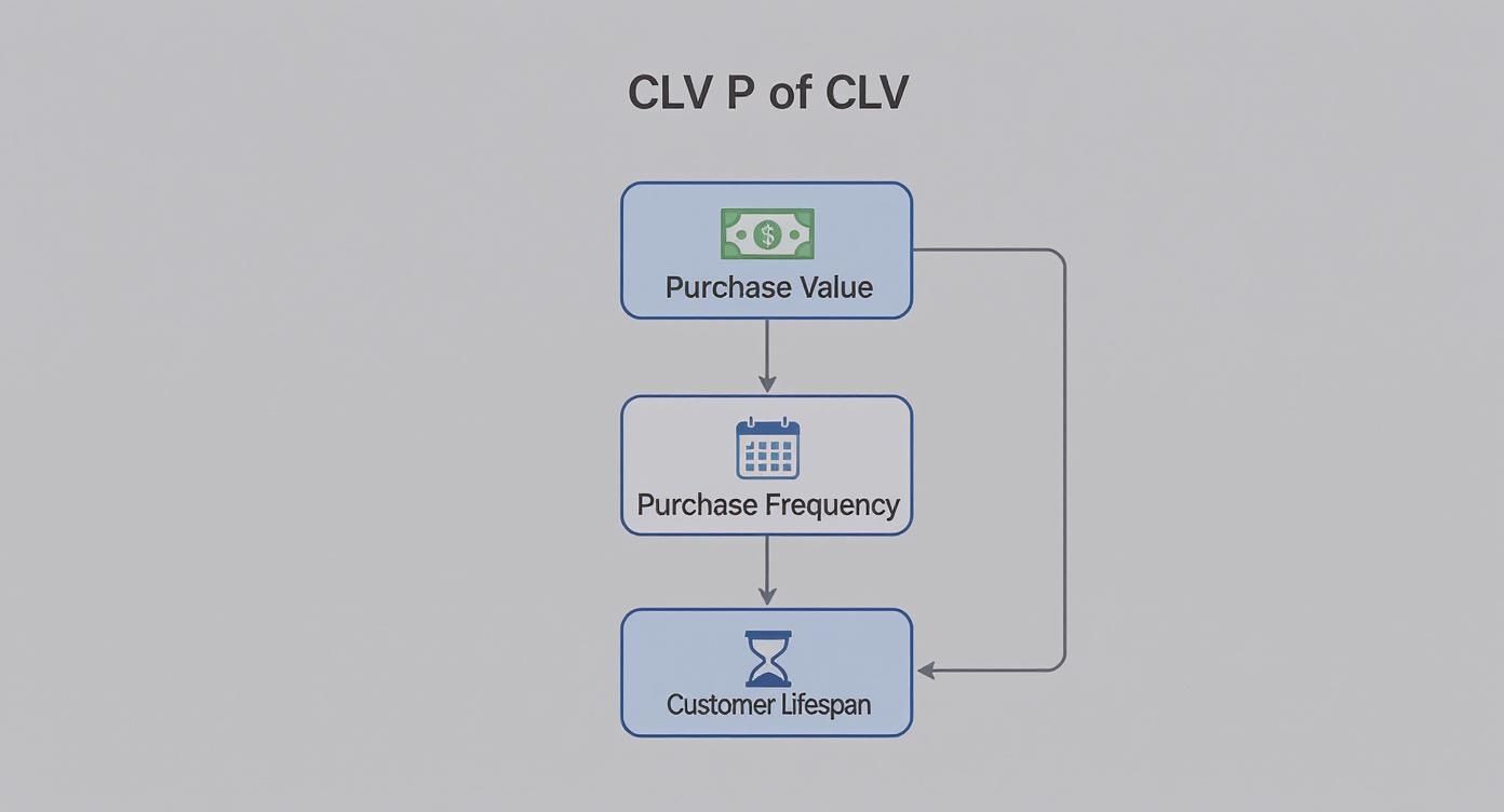 A flowchart illustrates customer lifetime value components: purchase value, purchase frequency, and customer lifespan.