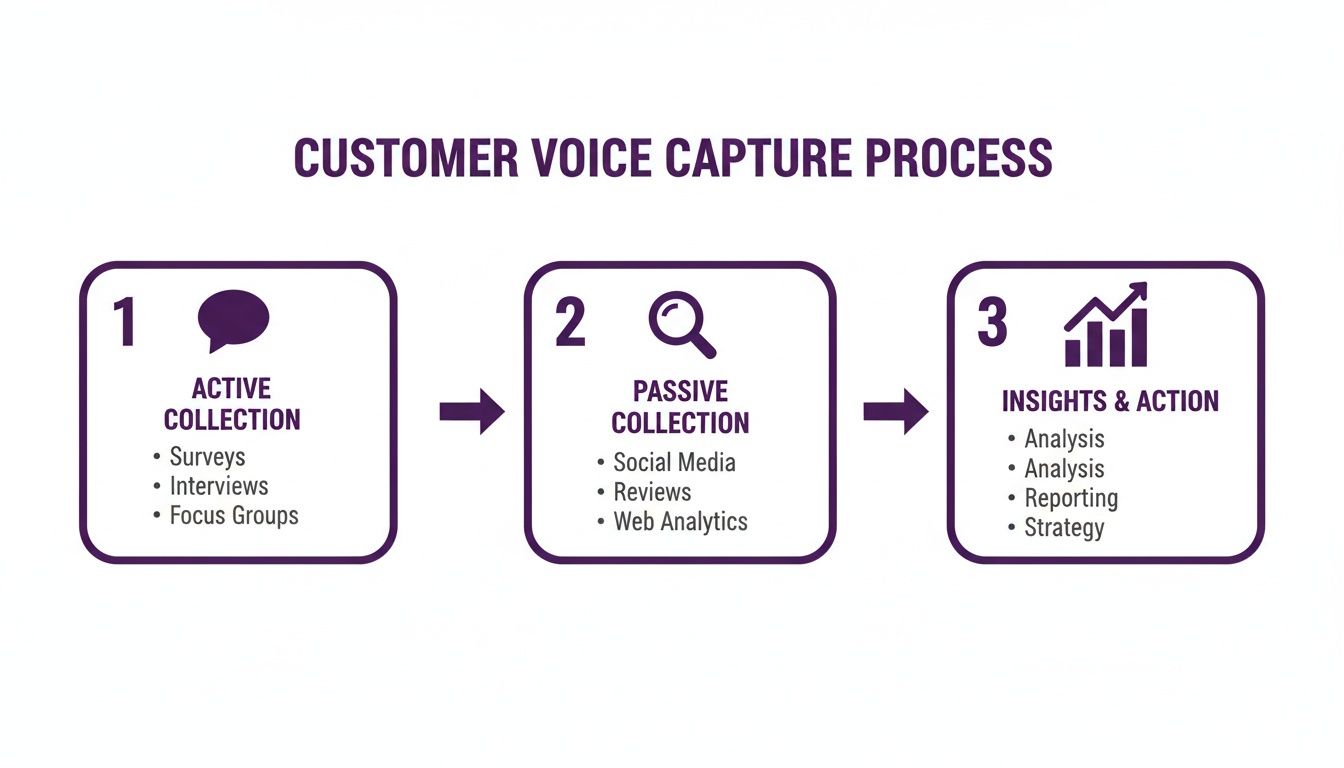 Diagram of a three-step customer voice capture process showing active collection, passive collection, and insights.