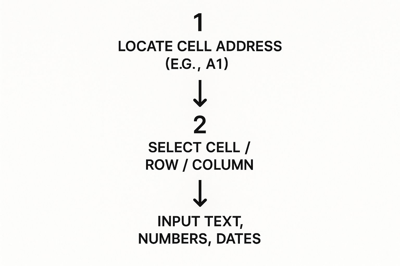 Infographic about excel for dummies