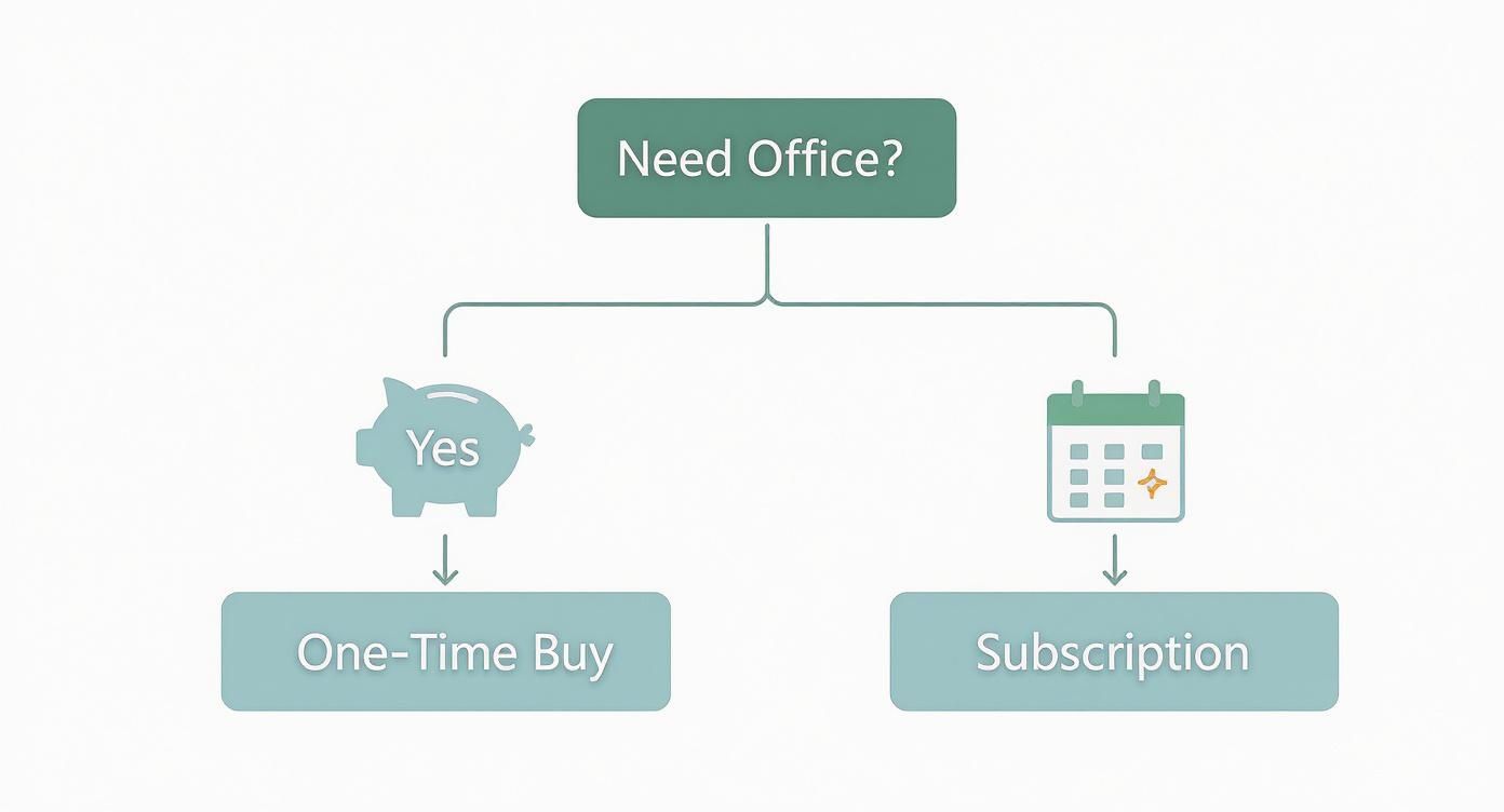Infographic about buy microsoft office product key