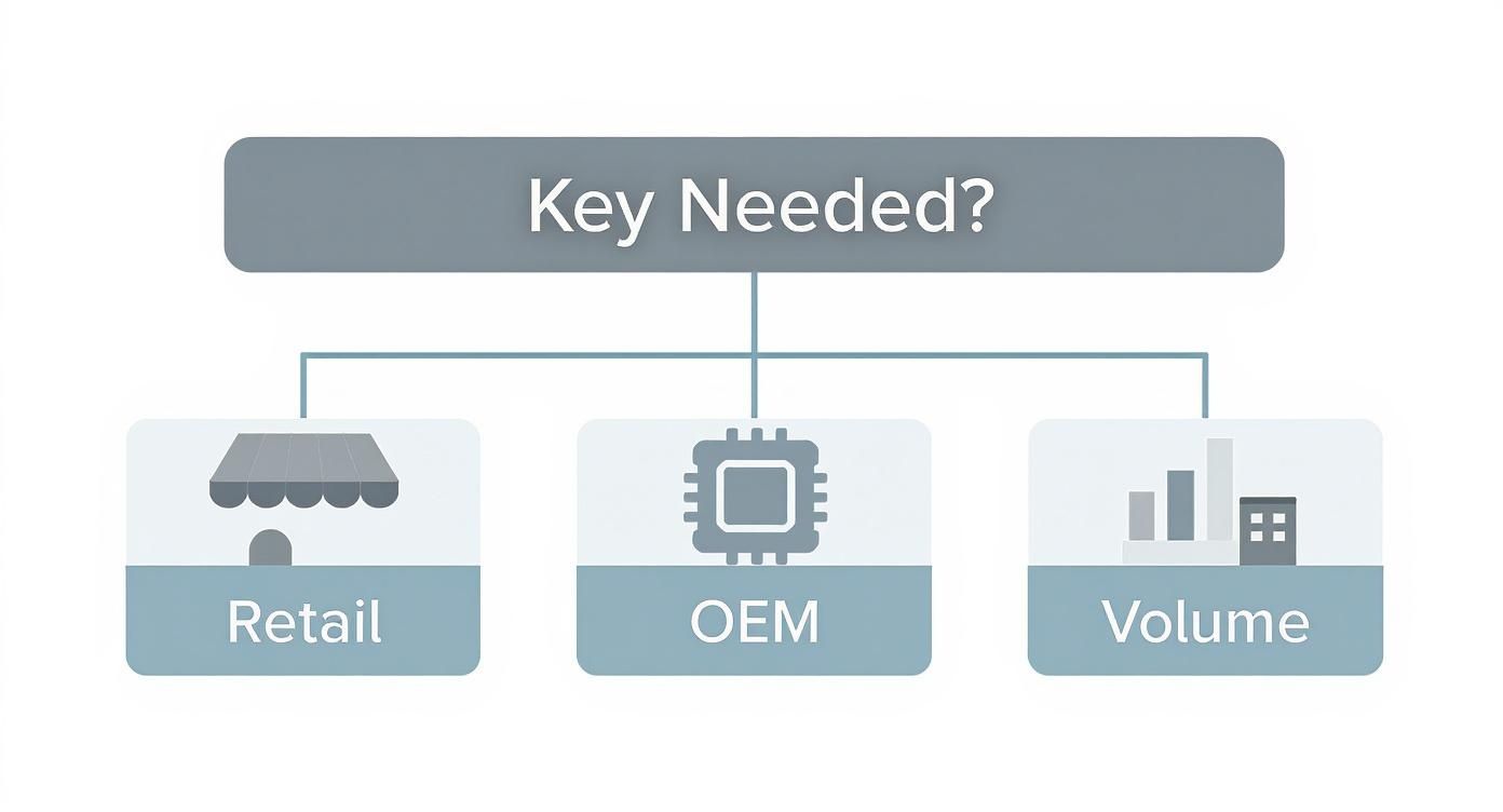 Infographic about cheap microsoft office key