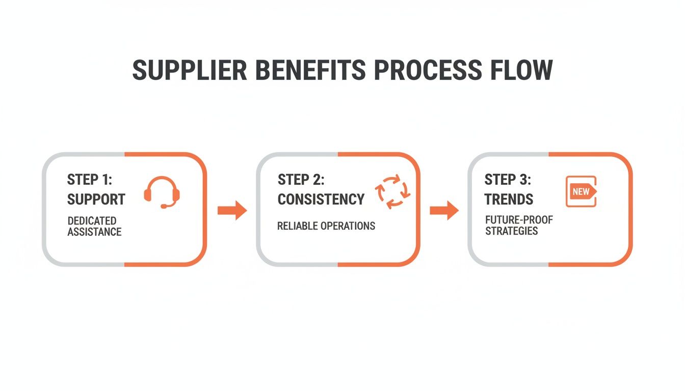 Process flow diagram illustrating three steps of supplier benefits: Support, Consistency, and Trends.