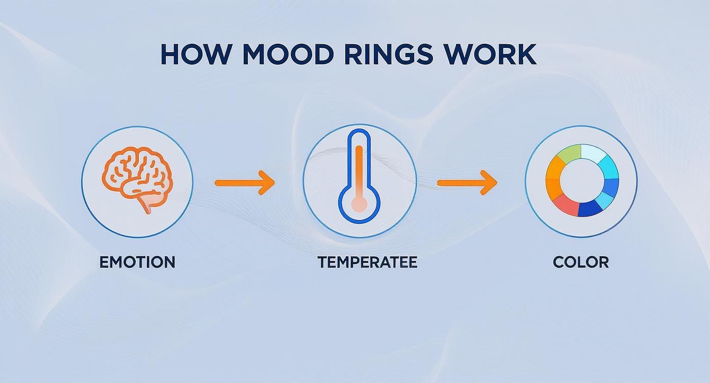 Infographic about mood color rings meaning