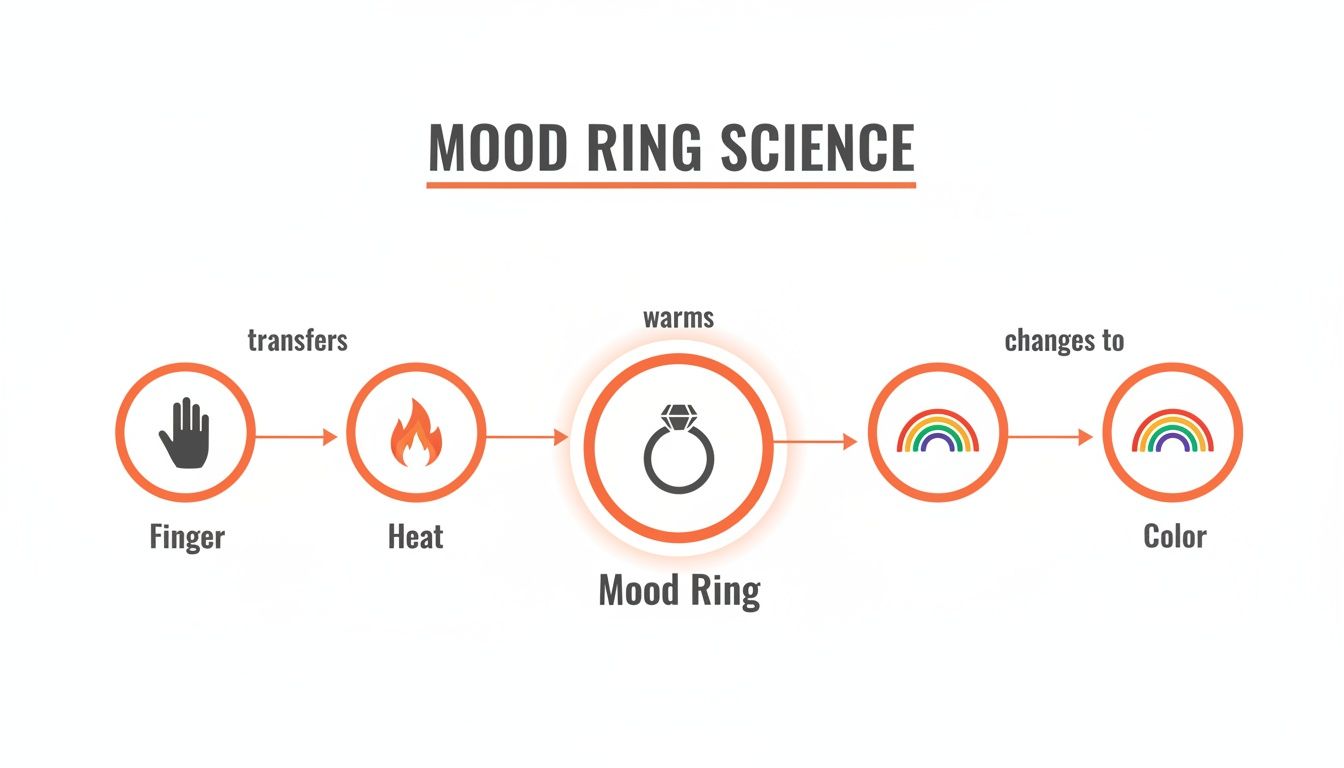 Infographic illustrating mood ring science, showing finger heat transfer to the ring, which then changes color.