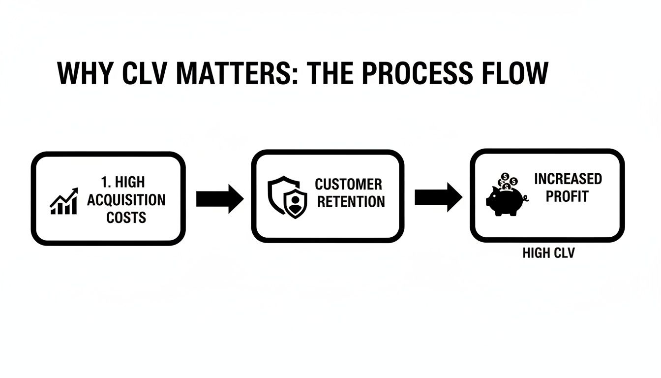 Flowchart illustrating how customer retention helps overcome high acquisition costs, leading to increased profit and high CLV.
