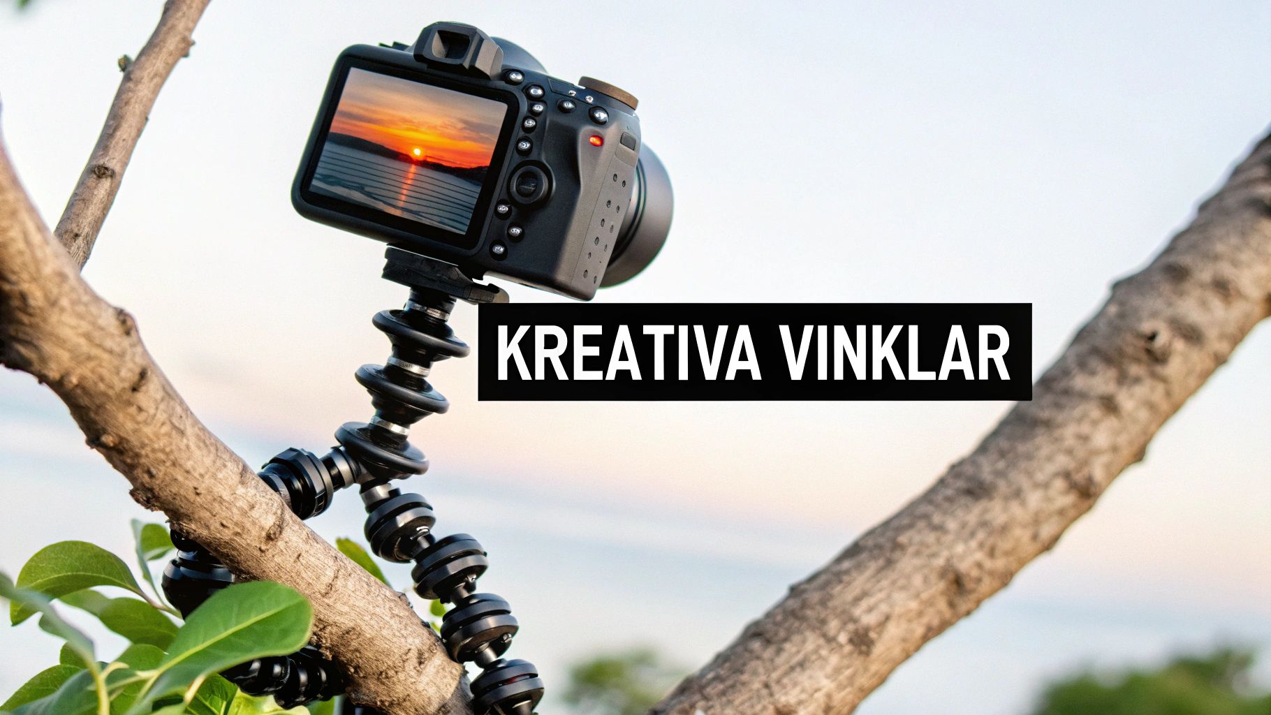 Et digitalkamera på et fleksibelt stativ fastgjort til en trægren med en solnedgang på skærmen og teksten 'CREATIVE ANGLES'.