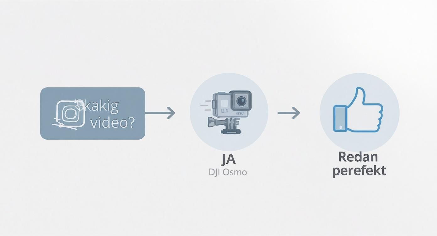 Infographic about dji osmo