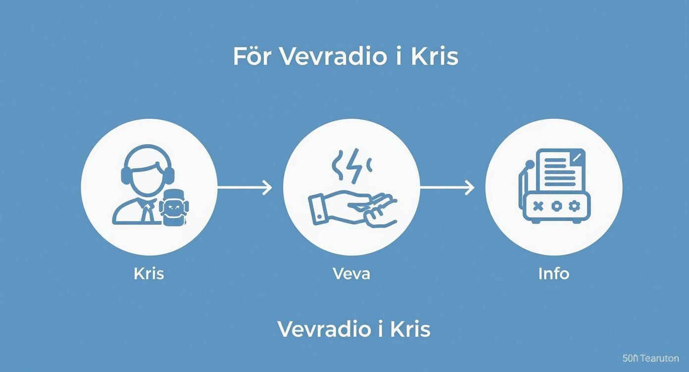 Infographic about vevradio