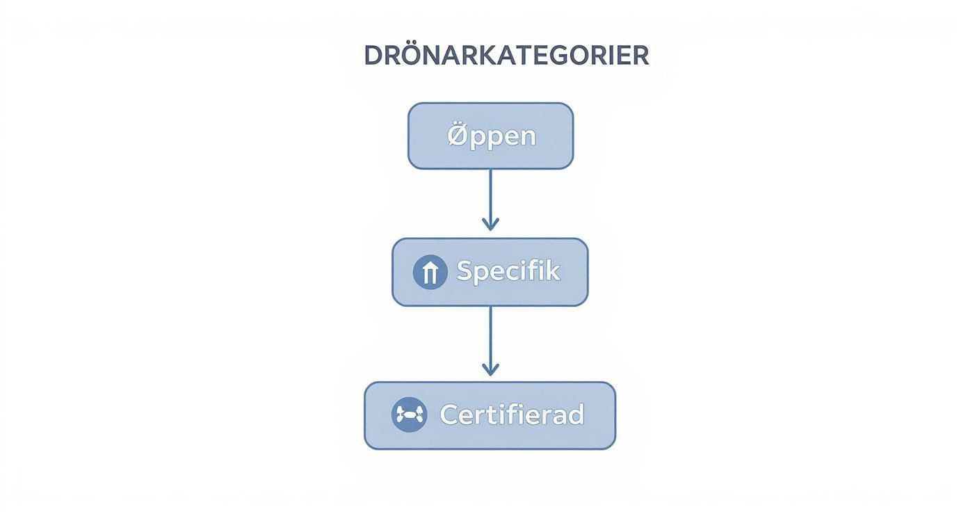 Screenshot from https://www.transportstyrelsen.se/sv/luftfart/Luftfartyg-och-luftvardighet/dronare/