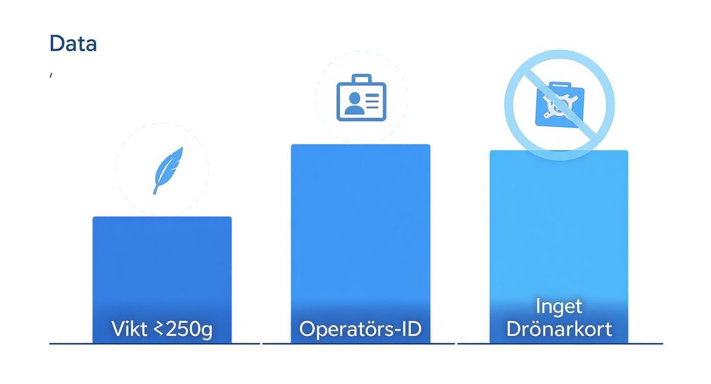 Infographic about dji mini 5 pro