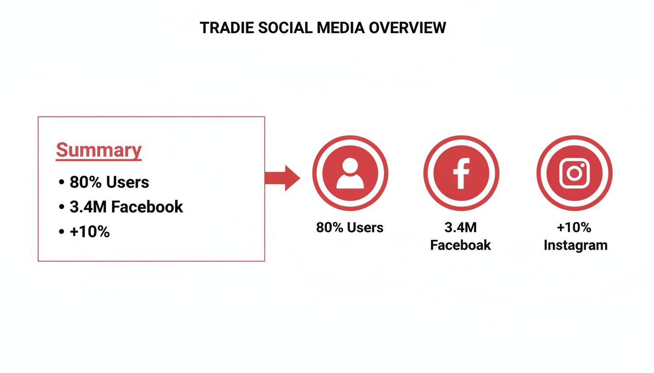 Tradie social media overview showing user percentages, Facebook reach, and Instagram growth.