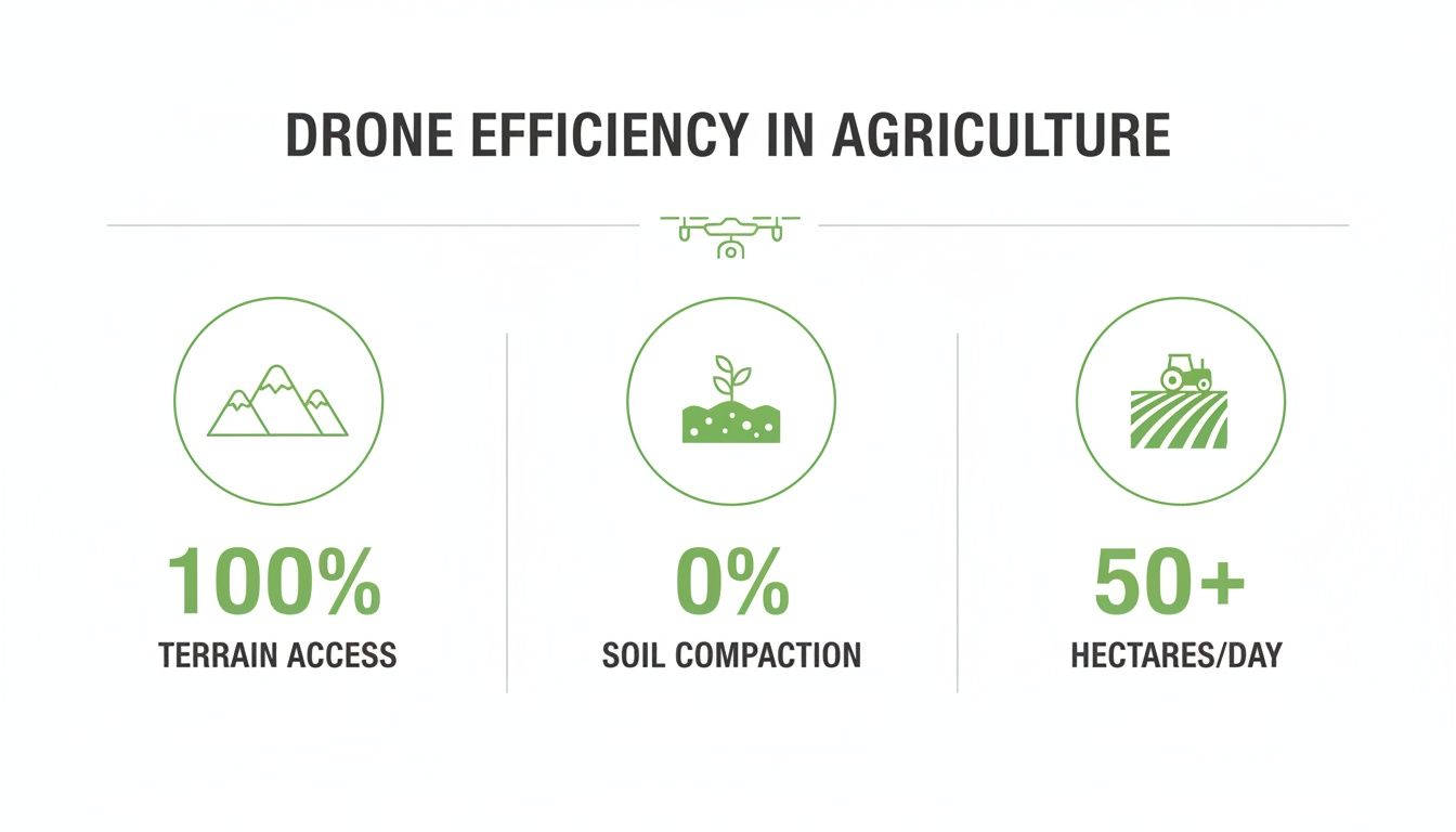 Infographic showing drone efficiency in agriculture: 100% terrain access, 0% soil compaction, 50+ hectares per day.