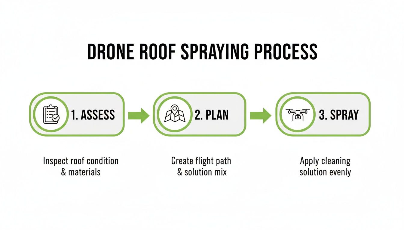 A diagram illustrating the three-step drone roof spraying process: Assess, Plan, and Spray with icons.
