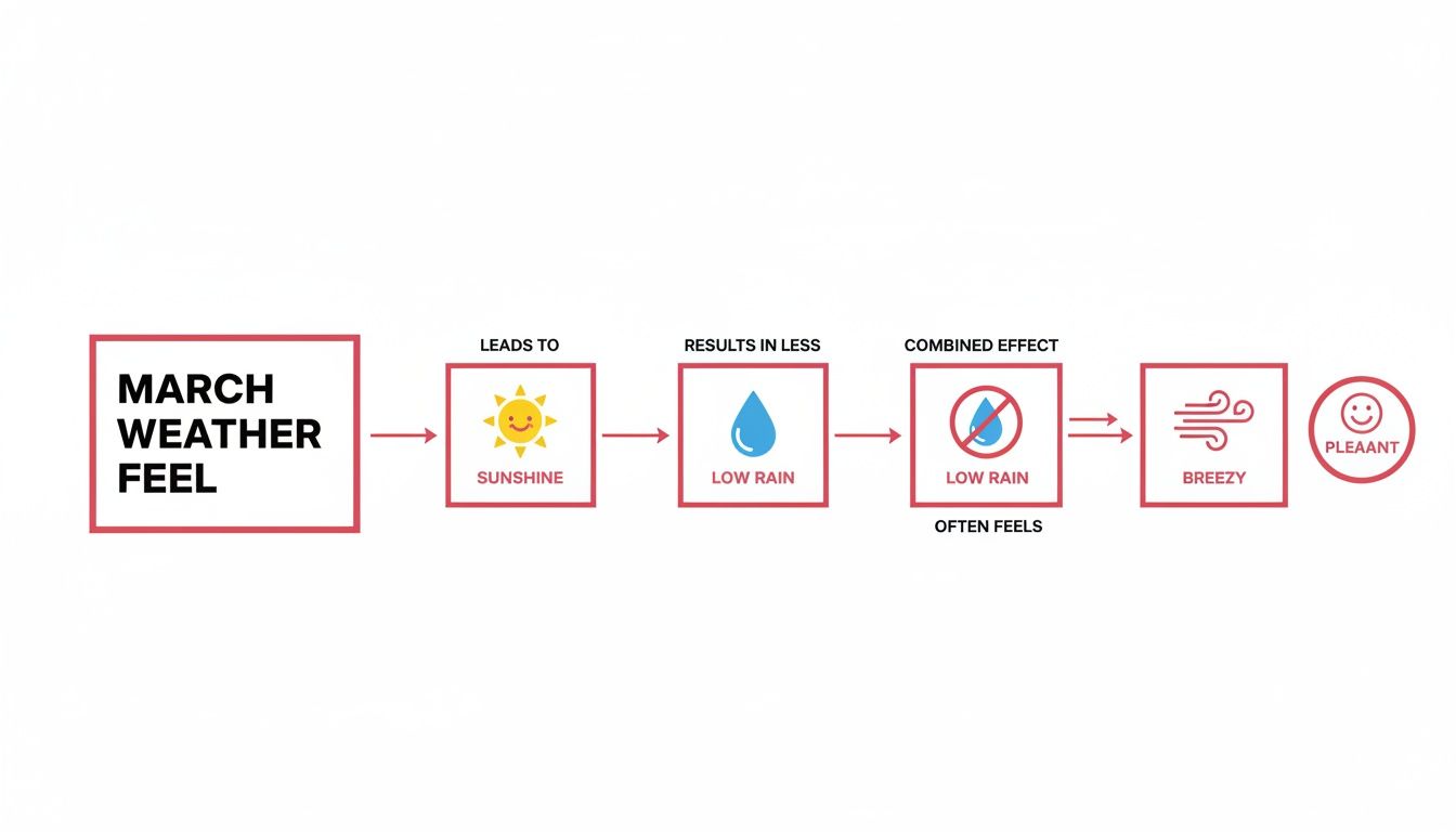 Flowchart illustrating pleasant March weather with sunshine, low rain, and breezy conditions.