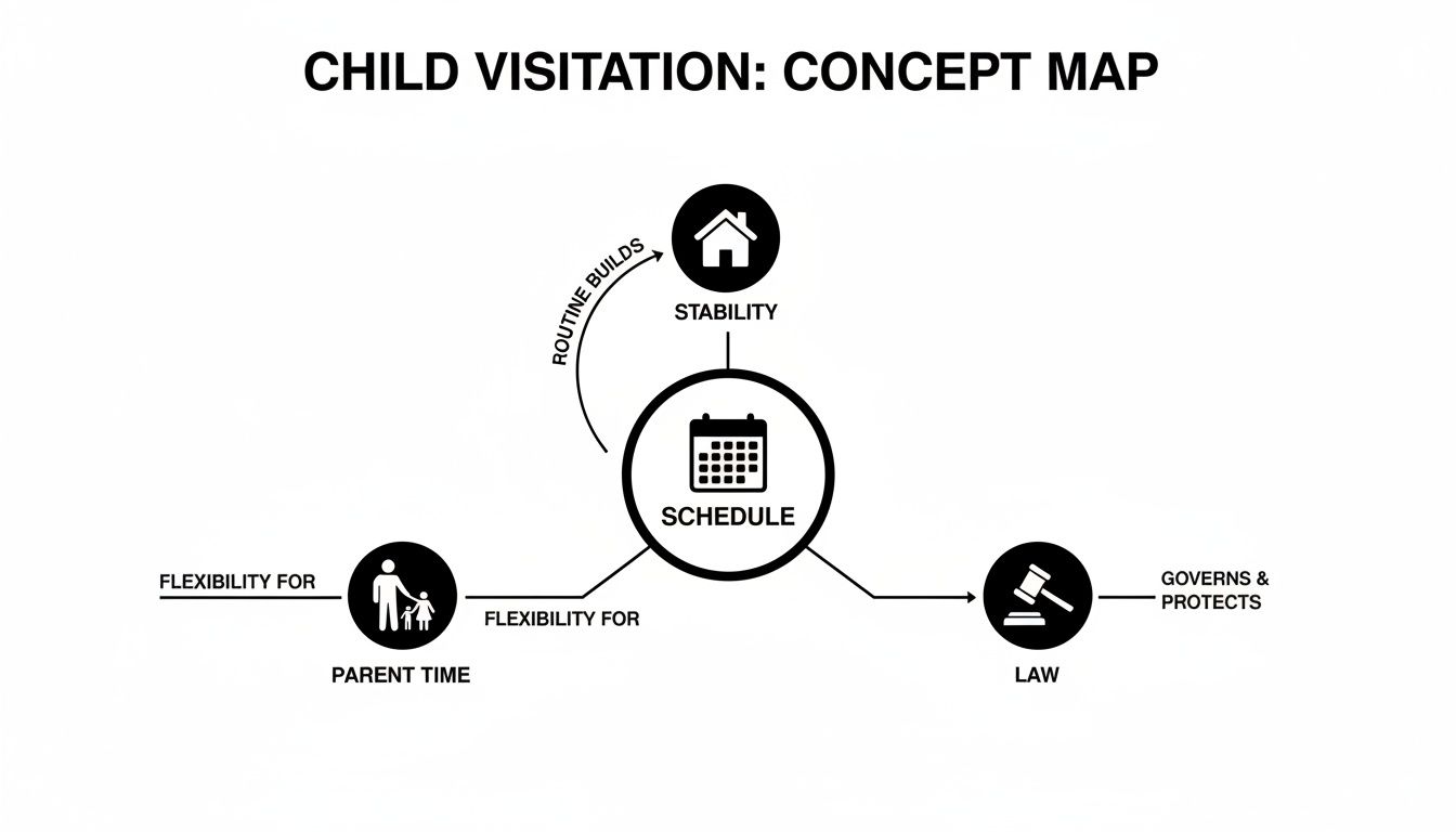 A Parent's Guide to Arkansas Child Visitation Schedules 1 A concept map detailing child visitation, linking schedule to stability, parent time, and legal aspects.