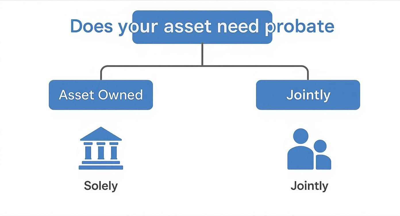 What Assets Go Through Probate in Arkansas Explained Simply 1 A flowchart asks 'Does your asset need probate?' showing options for 'Asset Owned Solely' or 'Jointly'.