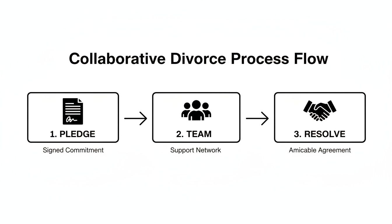Find a Collaborative Divorce Attorney Near Me for a Peaceful, Private Process 1 A diagram outlining the collaborative divorce process flow with three steps: Pledge, Team, and Resolve.