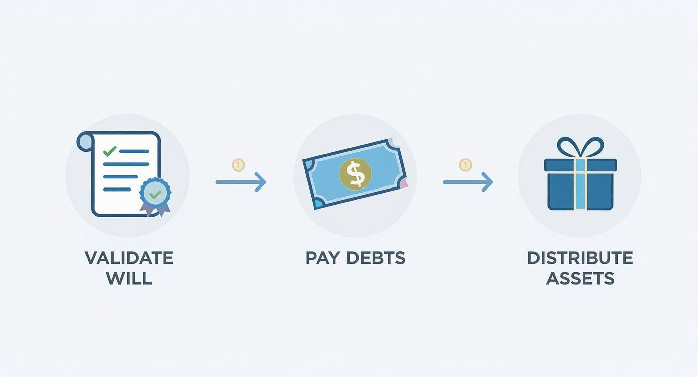 How long does probate take: a clear timeline and tips 2 An infographic showing the three primary purposes of probate: Validate the Will, Pay Debts, and Distribute Assets.