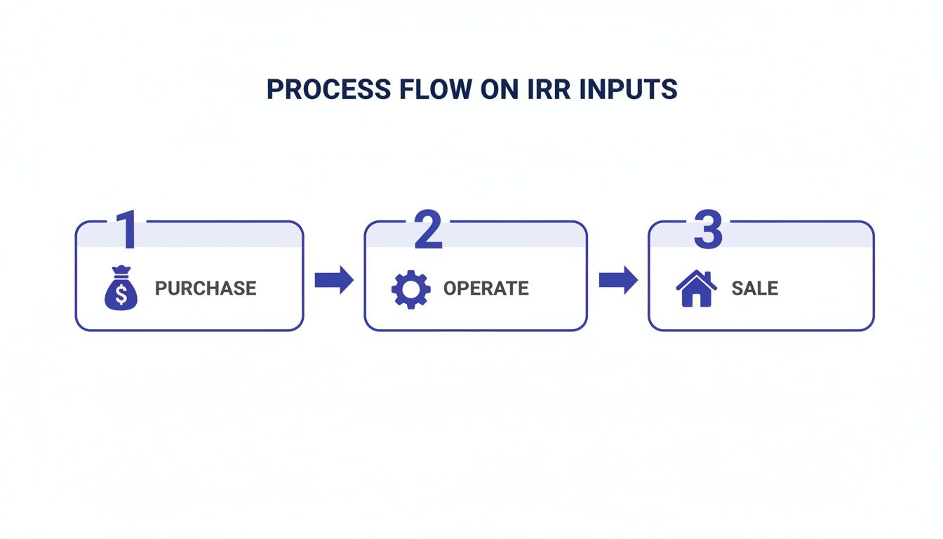 A process flow diagram illustrating the three steps for IRR inputs: purchase, operate, and sale.