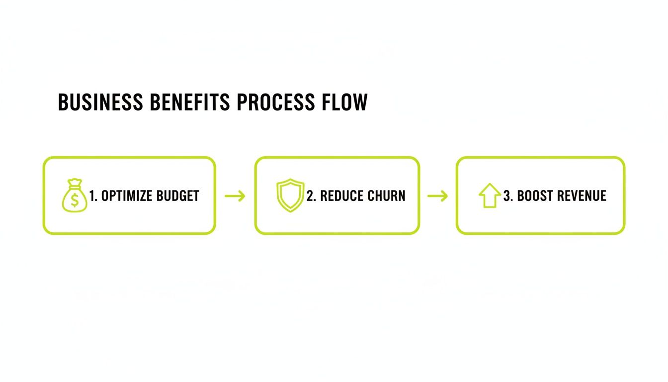 A business benefits process flow chart showing steps to optimize budget, reduce churn, and boost revenue.