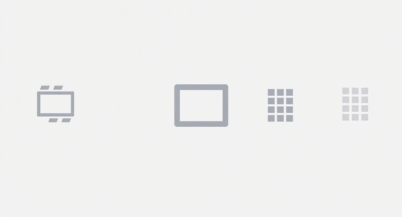 Four gray icons representing various display modes or device settings on a plain white background.