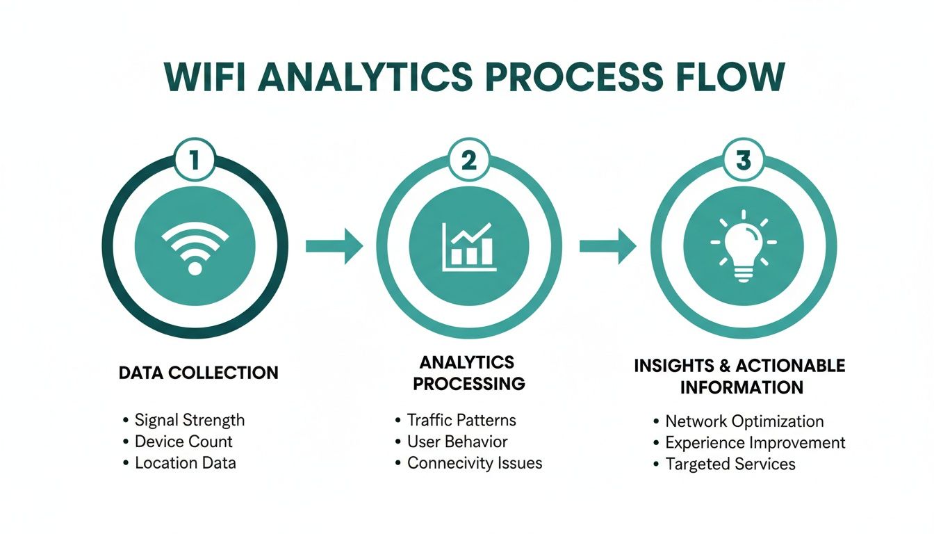 A diagram illustrating the three-step WiFi analytics process: data collection, analytics processing, and actionable insights.