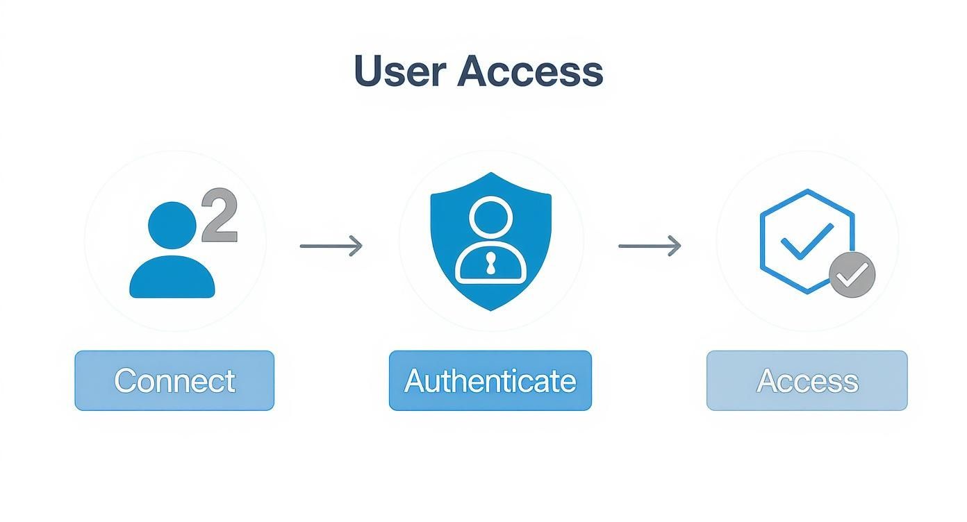 Infographic showing the three-step user access process: Connect, Authenticate, and Access, represented by user, shield, and checkmark icons.