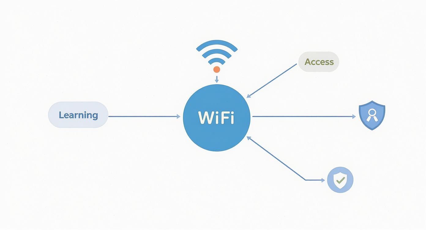 Infographic about wifi for schools
