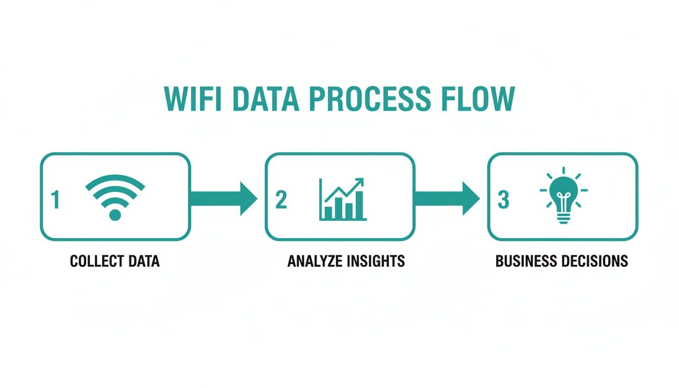 A flowchart illustrating the three-step WiFi data process: collect data, analyze insights, and make business decisions.