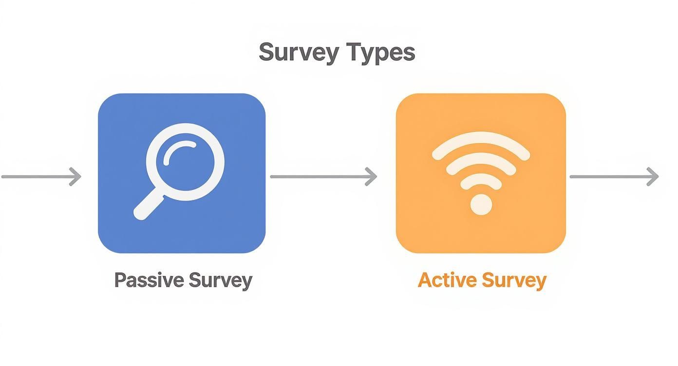 Diagram illustrating survey types: Passive Survey with a magnifying glass and Active Survey with a WiFi icon.