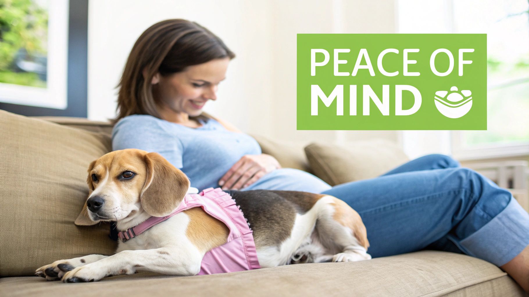 A pregnant woman smiles, sitting on a couch with her beagle dog wearing a pink diaper.