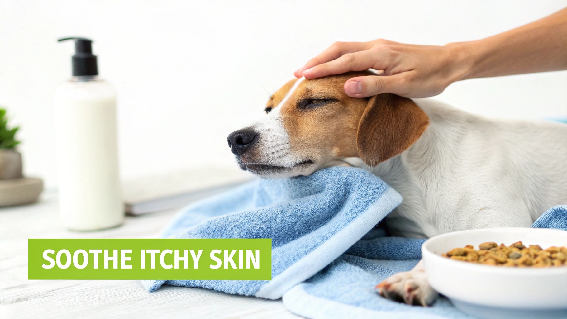 A person gently pets a dog wrapped in a blue towel, next to a lotion bottle, with text 'SOOTHE ITCHY SKIN'.