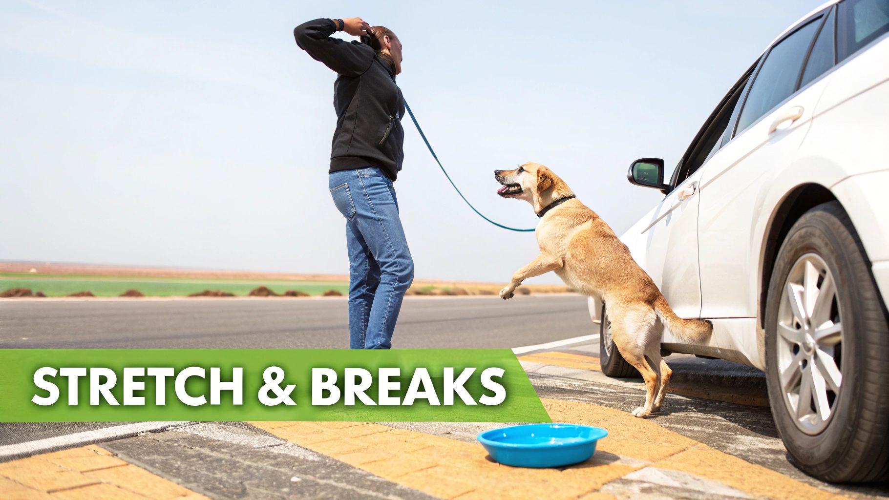 A person stretches on a road next to a white car, with their dog excitedly jumping on a leash and a blue water bowl on the ground, promoting 'STRETCH & BREAKS' during travel.