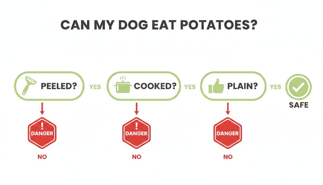 Flowchart answering 'Can my dog eat potatoes?' showing steps: peeled, cooked, plain for safety.