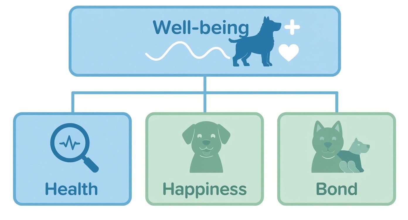 A diagram illustrating dog well-being, breaking it down into health, happiness, and bond with owners.