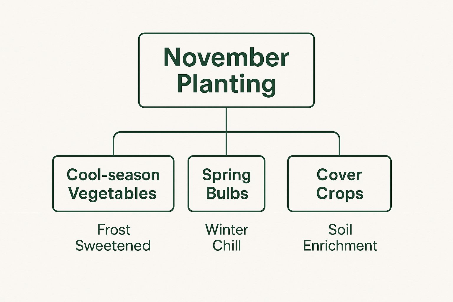 Infographic about what to plant in november