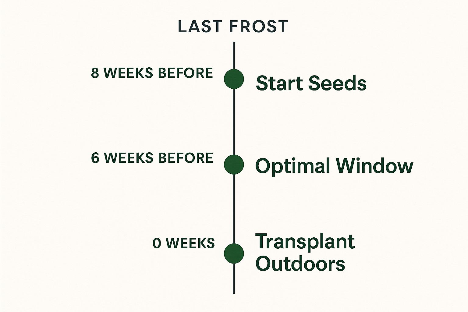 Infographic about when to start planting tomato seeds