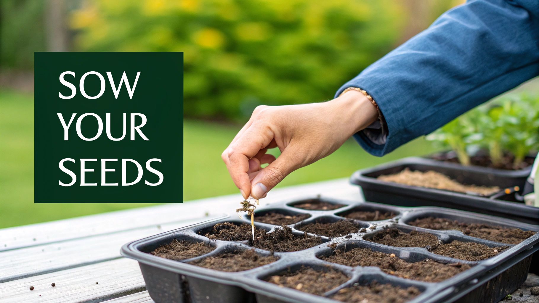 A person's hands carefully placing a small seed into a pot filled with dark soil.